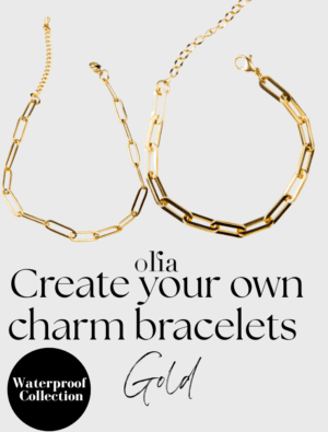 Create Your Own Waterproof Paperlink Charm Bracelet – 18k Gold Plated Stainless Steel