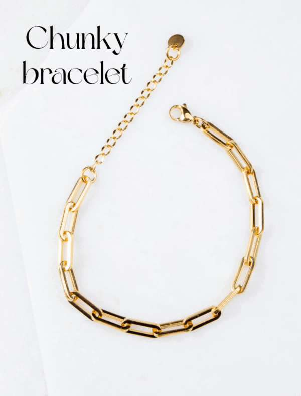 Create Your Own Waterproof Paperlink Charm Bracelet – 18k Gold Plated Stainless Steel - Image 11