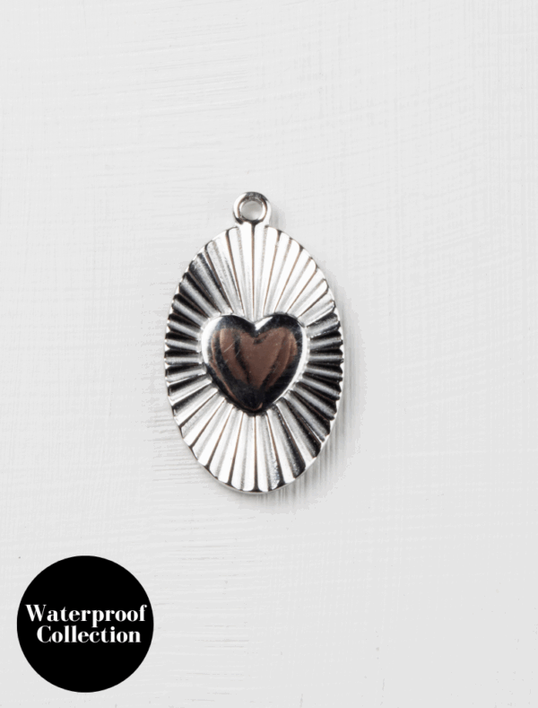Large Oval Heart Disc - 81 - Silver/Stainless Steel
