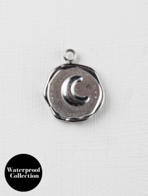 Medium Moon Disc - 76 - Silver/Stainless Steel