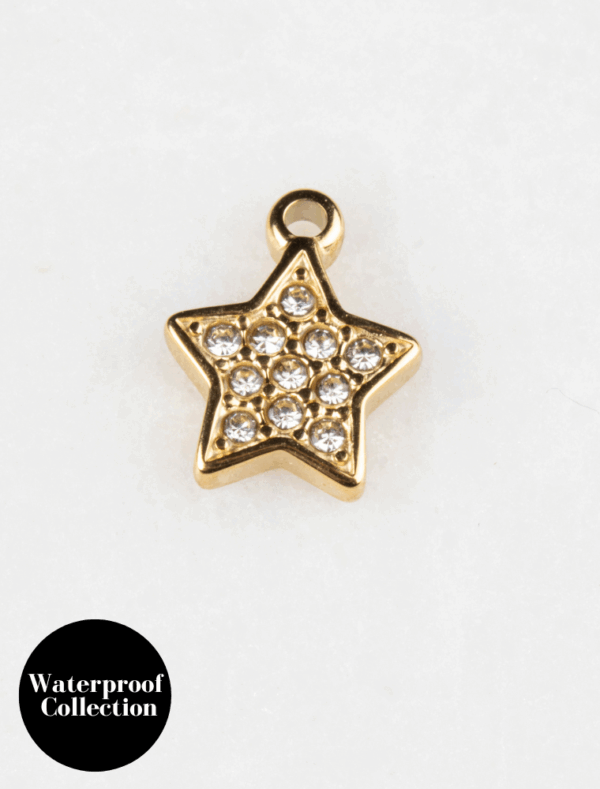 Small Crystal Star Charm - 39 -  18k Gold Plated Stainless Steel