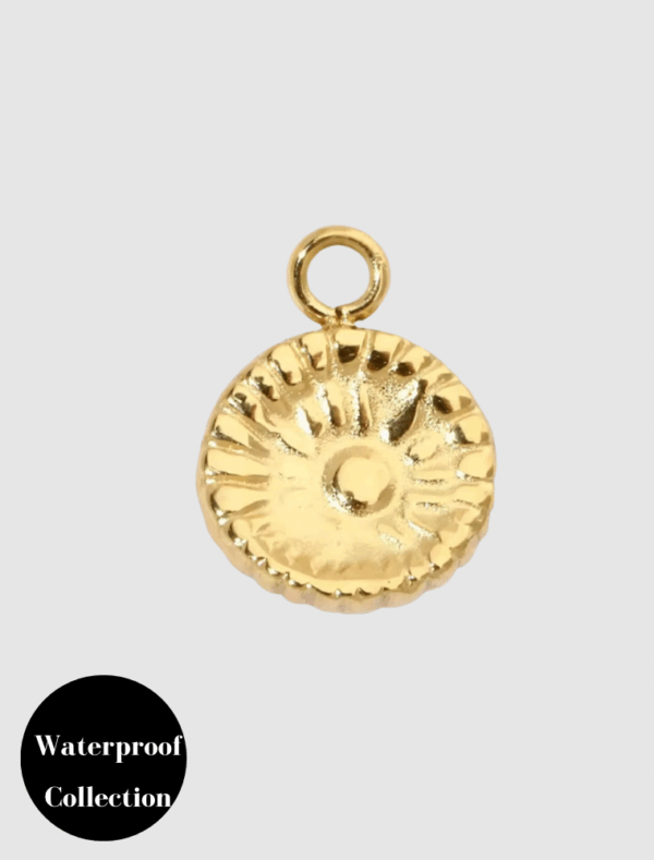 Small Fossil Charm - 109 - 18k Gold Plated Stainless Steel