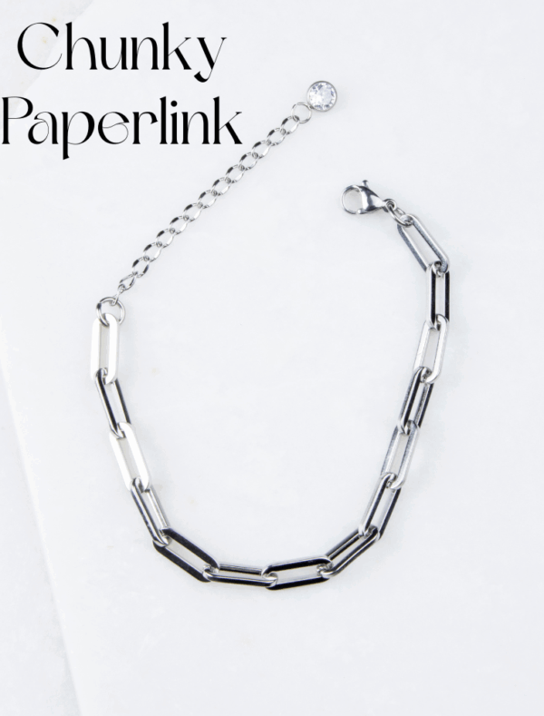 Create Your Own Own Waterproof Paperlink Charm Bracelet – Silver/Stainless Steel - Image 6